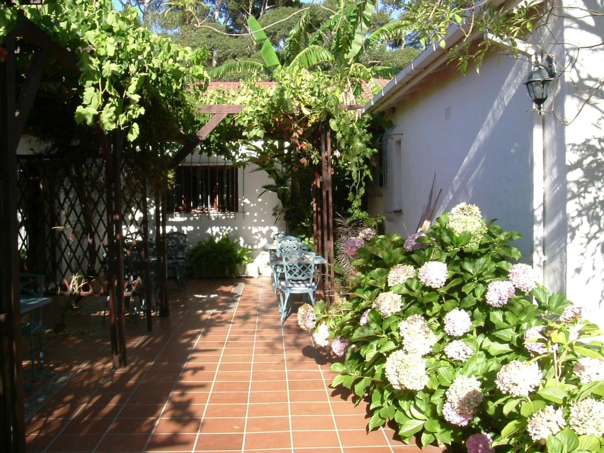 Vine Guesthouse Stellenbosch Zewnętrze zdjęcie