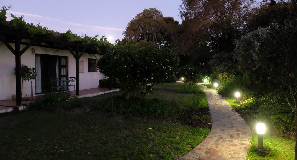 Vine Guesthouse Stellenbosch Zewnętrze zdjęcie