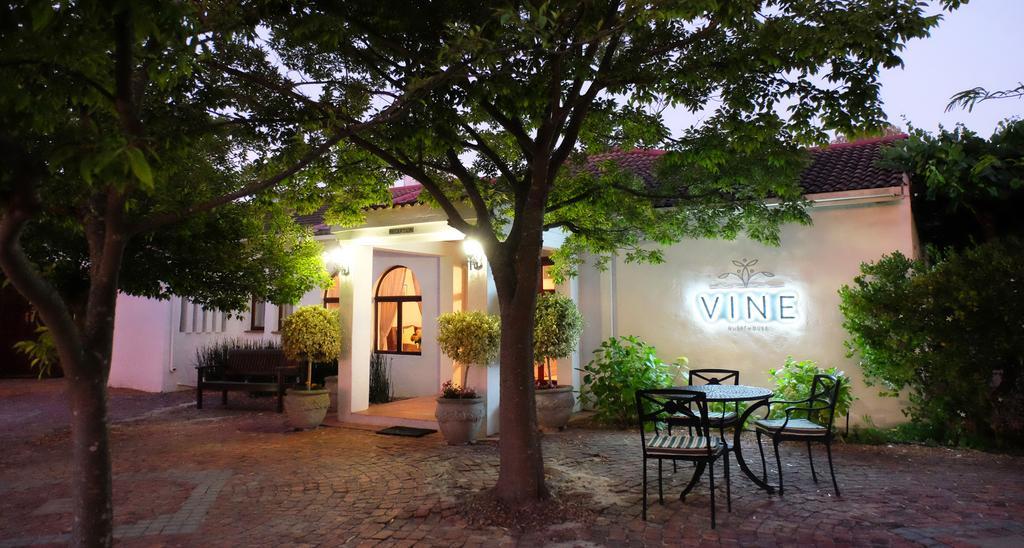 Vine Guesthouse Stellenbosch Zewnętrze zdjęcie