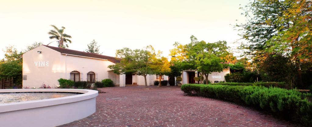 Vine Guesthouse Stellenbosch Zewnętrze zdjęcie