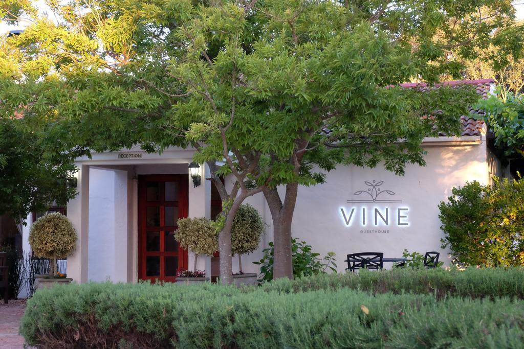 Vine Guesthouse Stellenbosch Zewnętrze zdjęcie