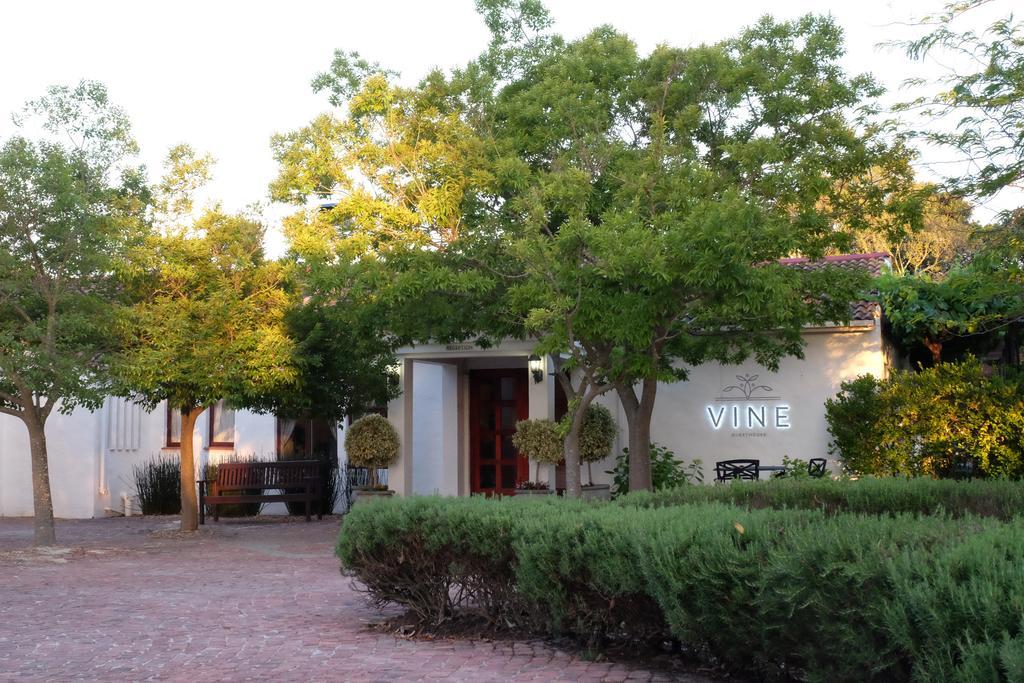 Vine Guesthouse Stellenbosch Zewnętrze zdjęcie