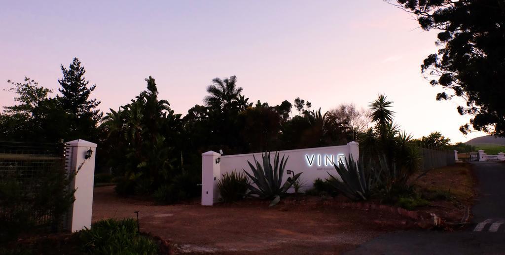 Vine Guesthouse Stellenbosch Zewnętrze zdjęcie