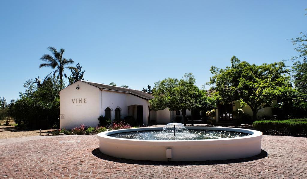 Vine Guesthouse Stellenbosch Zewnętrze zdjęcie