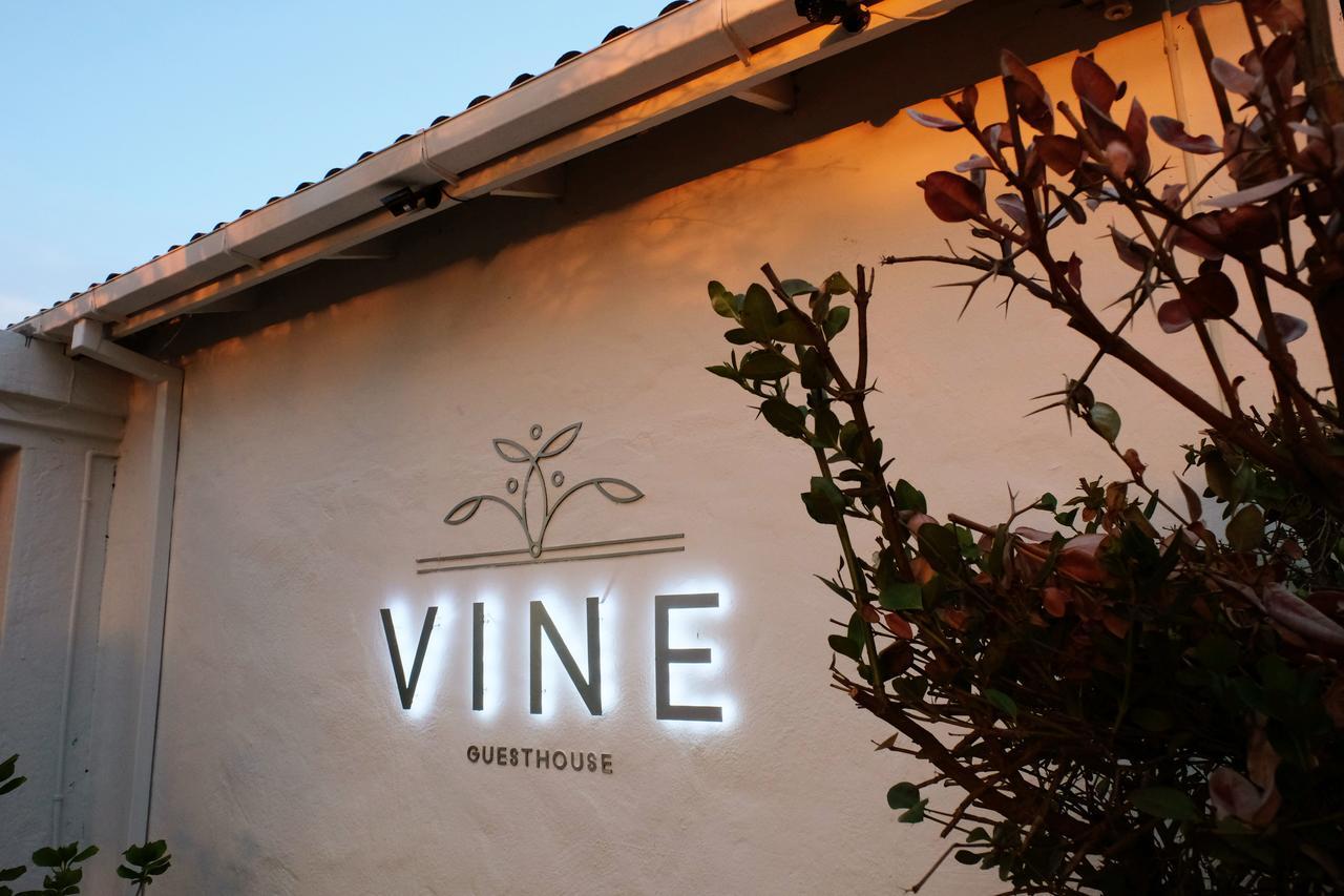 Vine Guesthouse Stellenbosch Zewnętrze zdjęcie