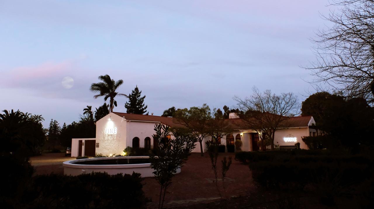 Vine Guesthouse Stellenbosch Zewnętrze zdjęcie