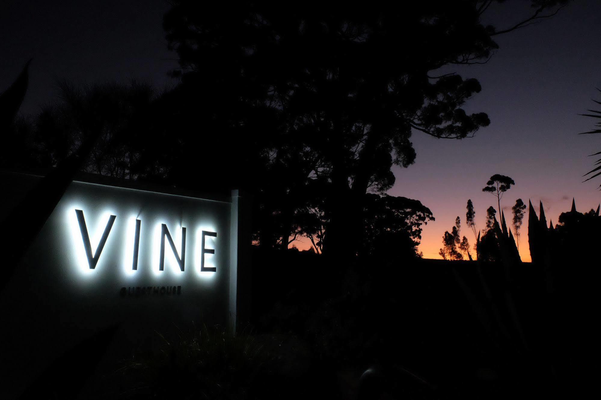 Vine Guesthouse Stellenbosch Zewnętrze zdjęcie