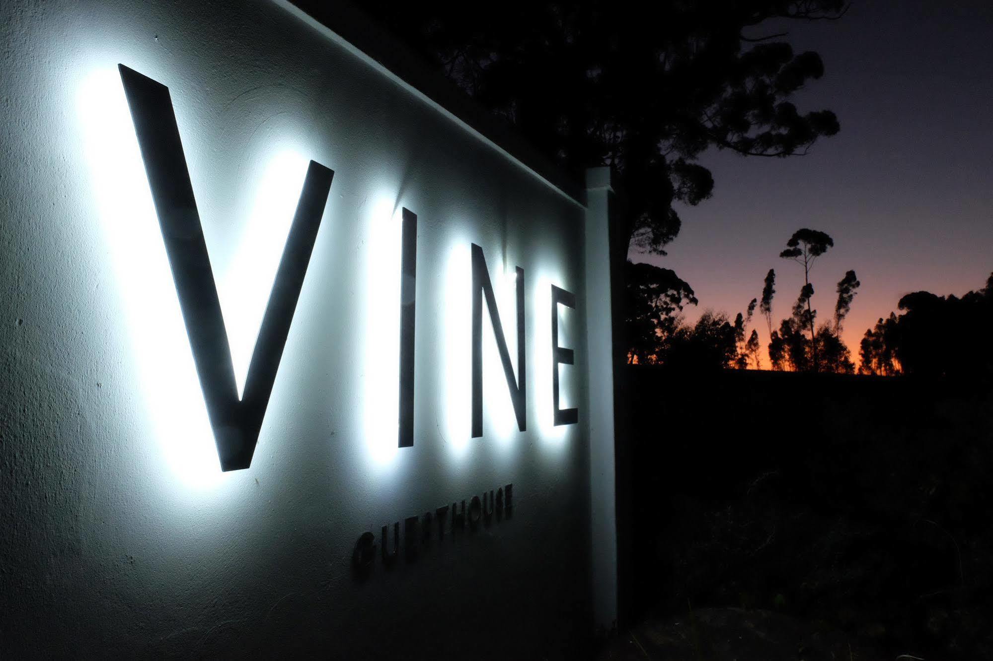 Vine Guesthouse Stellenbosch Zewnętrze zdjęcie
