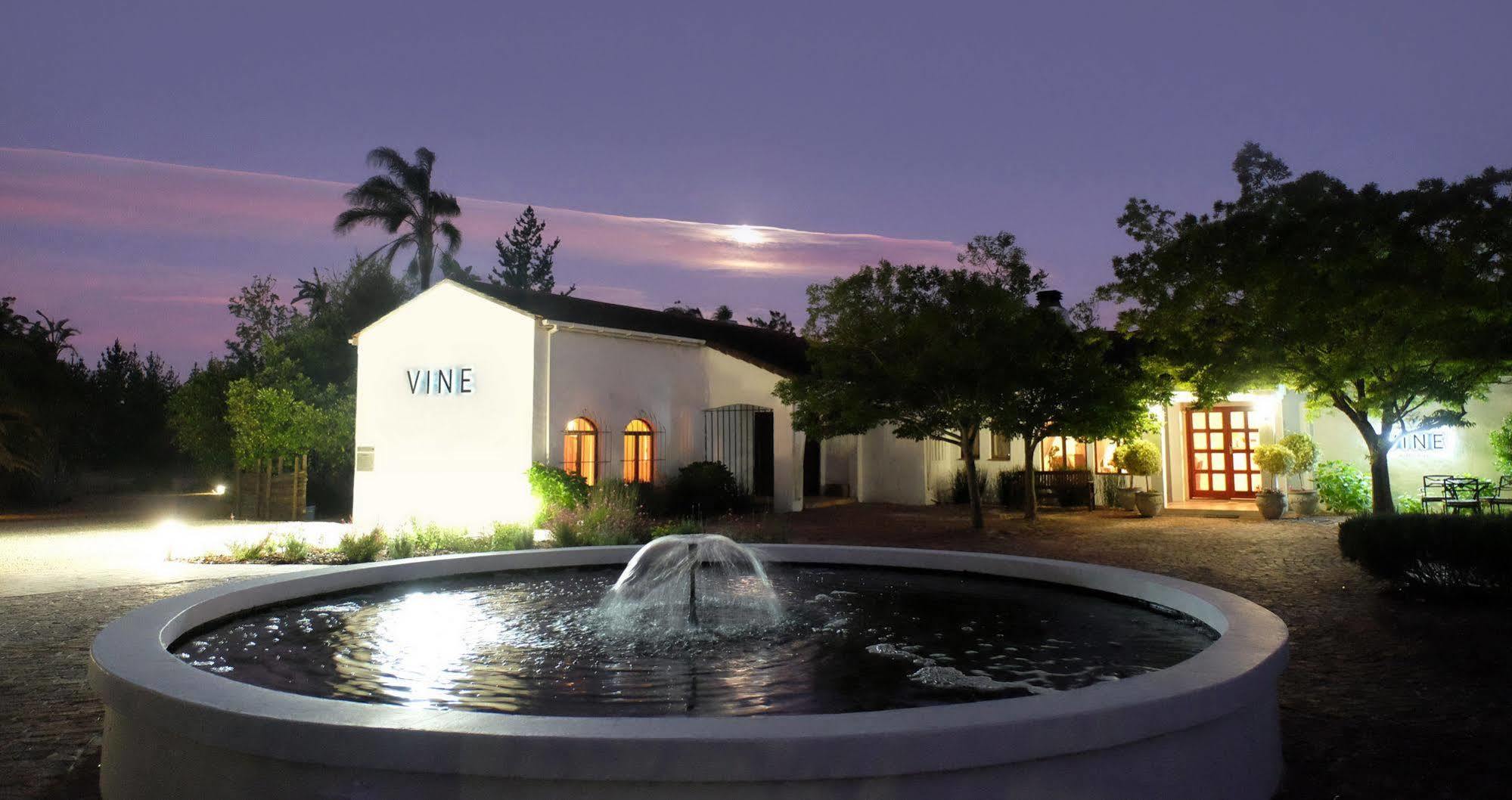 Vine Guesthouse Stellenbosch Zewnętrze zdjęcie
