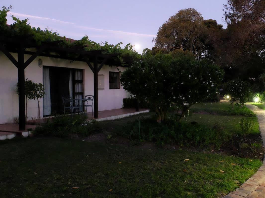 Vine Guesthouse Stellenbosch Zewnętrze zdjęcie